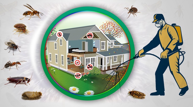 Torbalı Böcek İlaçlama